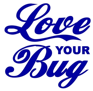 Luv your volkswagen beetle